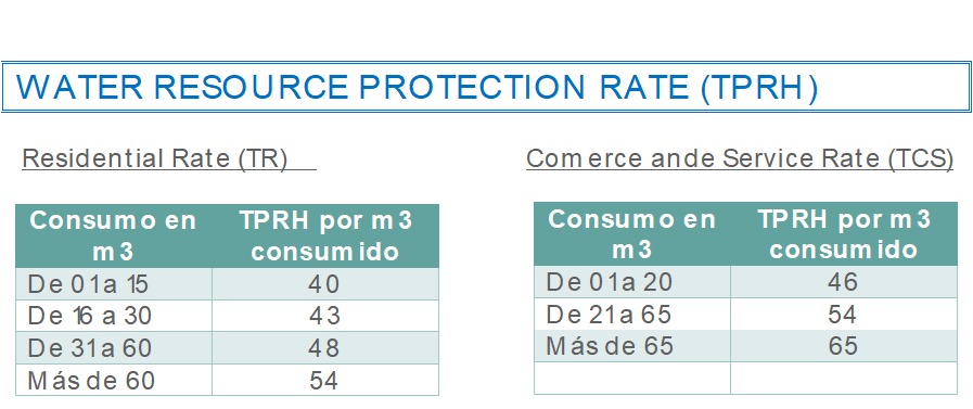 ASADA MALICHES